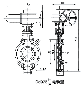 D973W電動(dòng)硬密封對(duì)夾蝶閥(圖1)